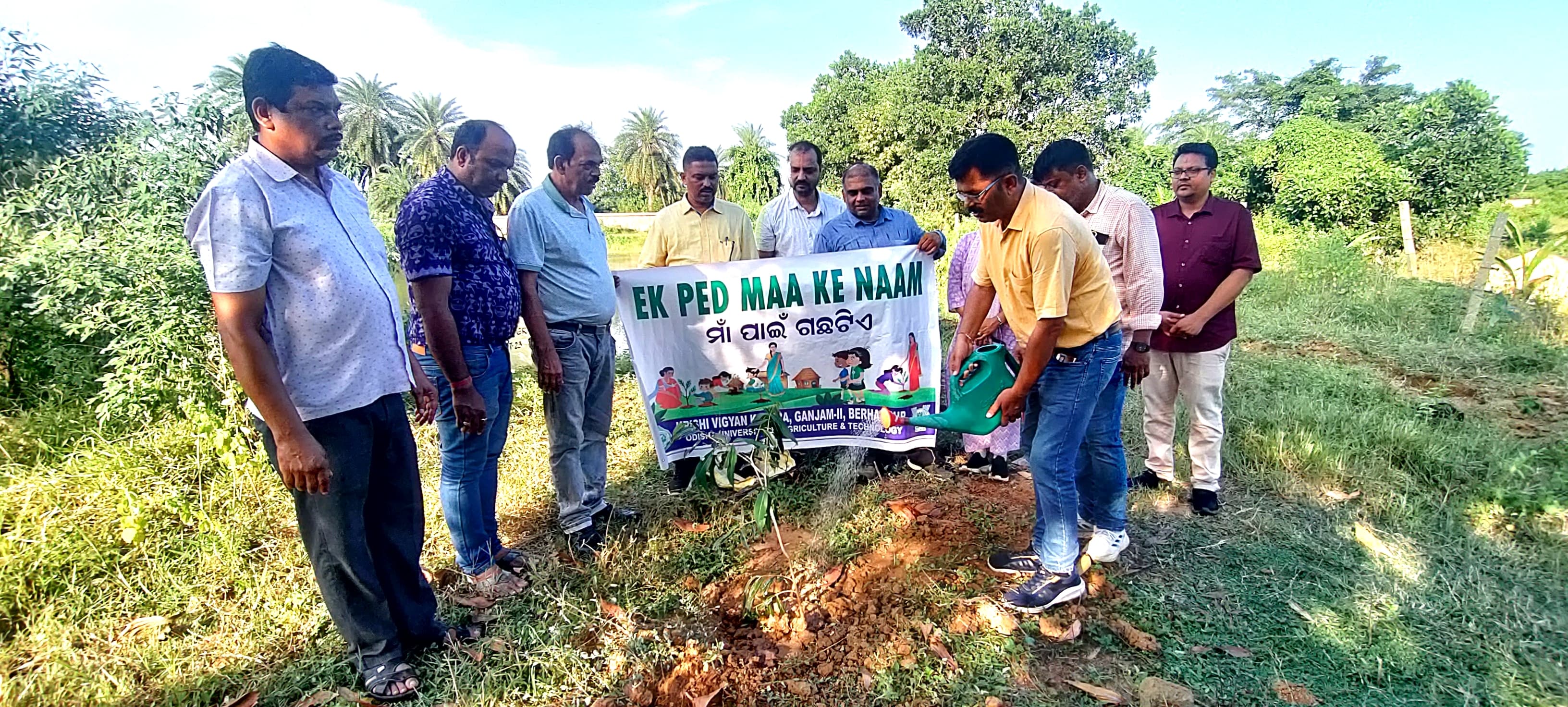 Extension Activities