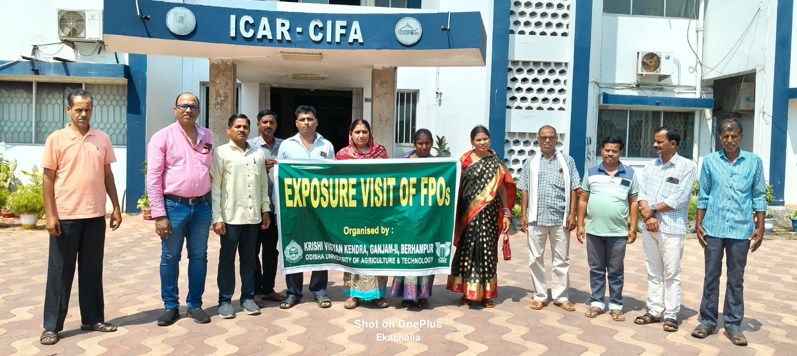 Extension Activities