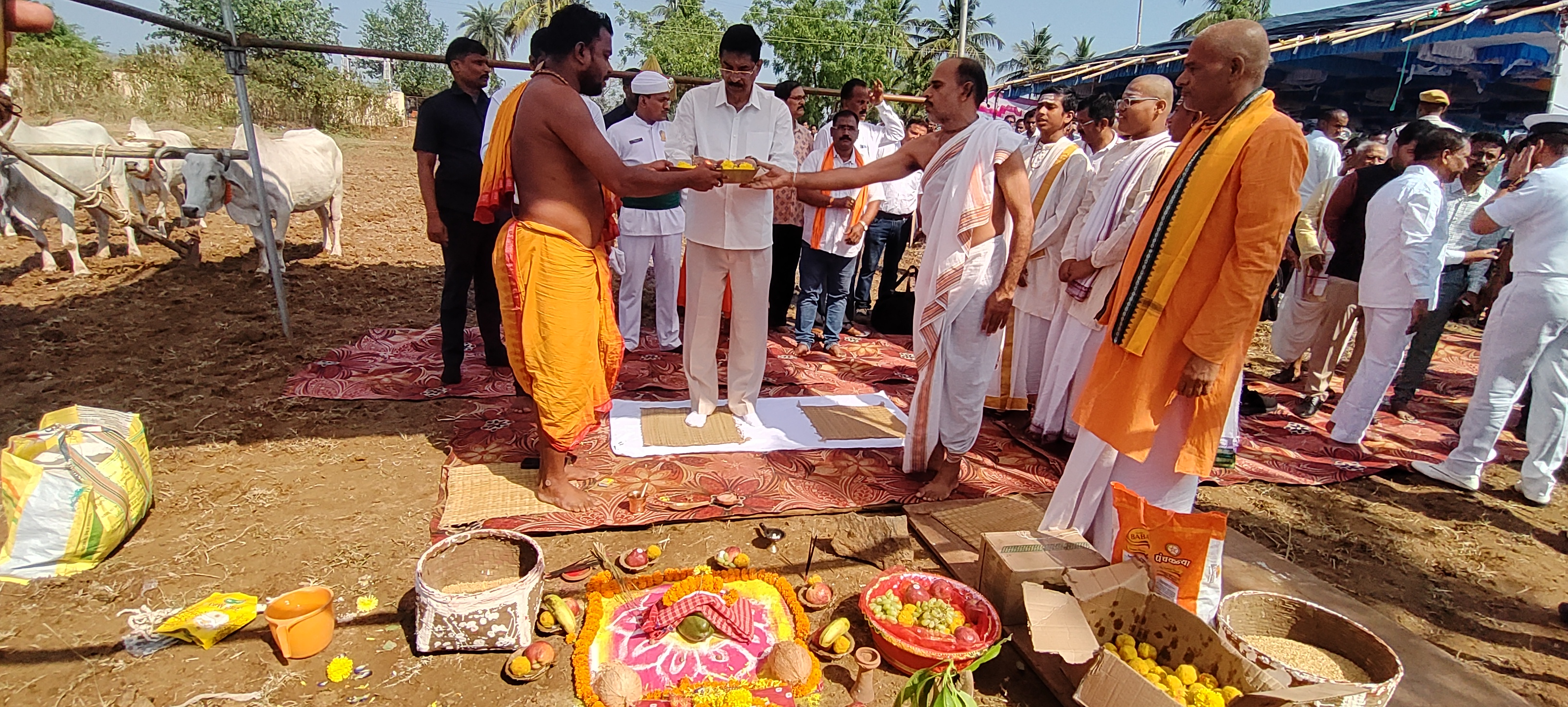 Extension Activities